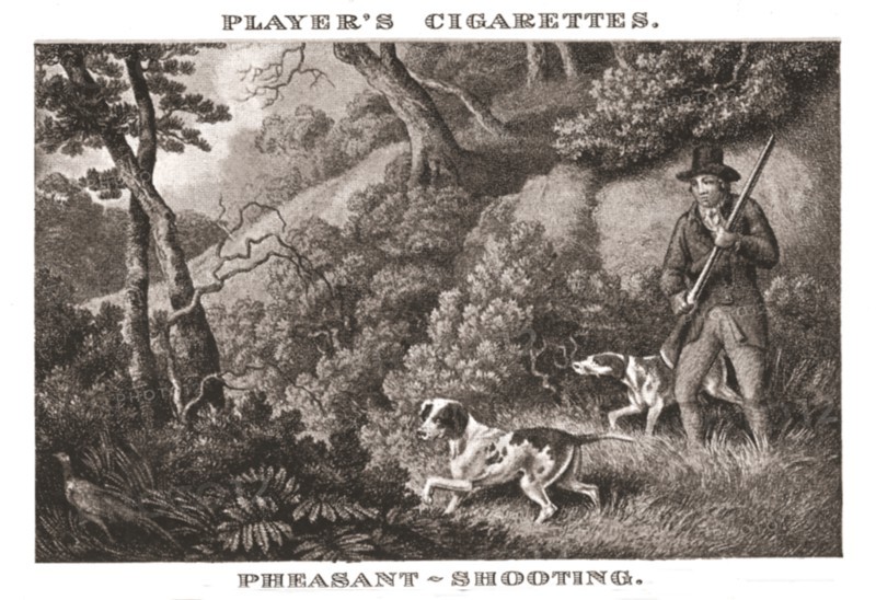 'Pheasant-Shooting', (1924). Creator: Unknown.