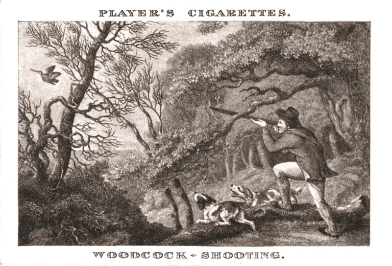 'Woodcock-Shooting', (1924). Creator: Unknown.