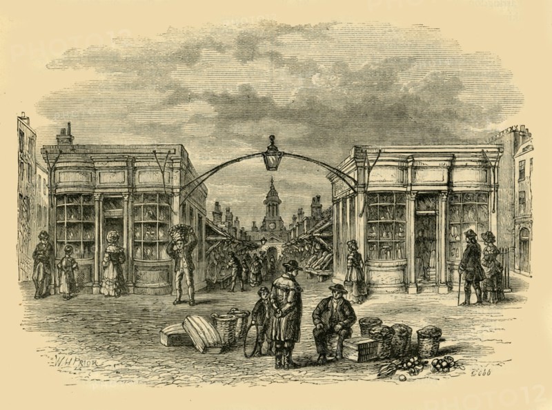 'Fleet Market', (c1872). Creator: Unknown.