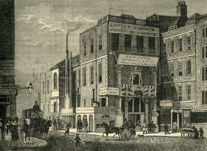 'Exeter Change in 1826', (1881). Creator: Unknown.