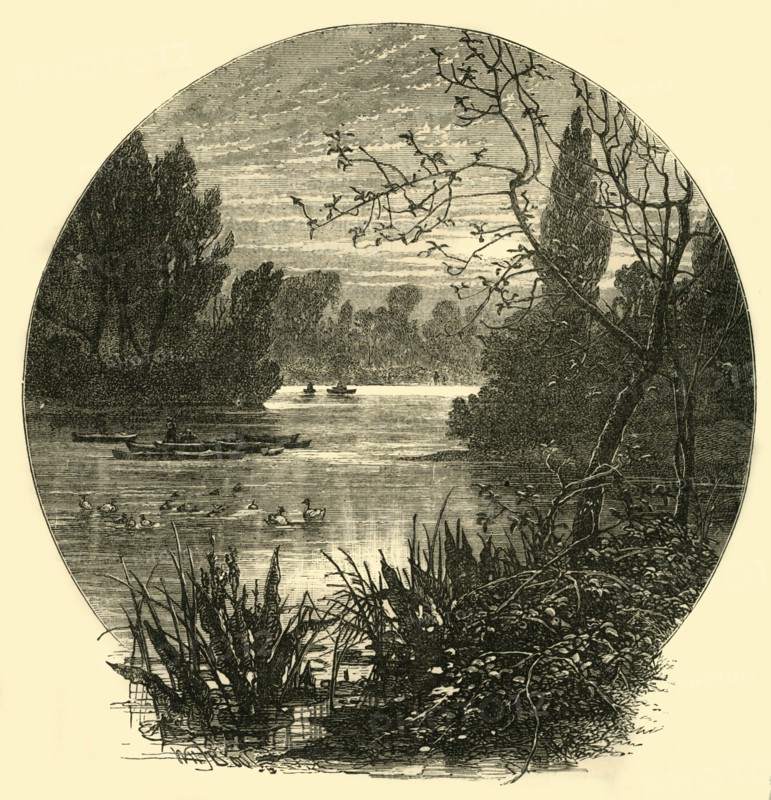 'The Lake, Battersea Park', (c1878). Creator: Unknown.