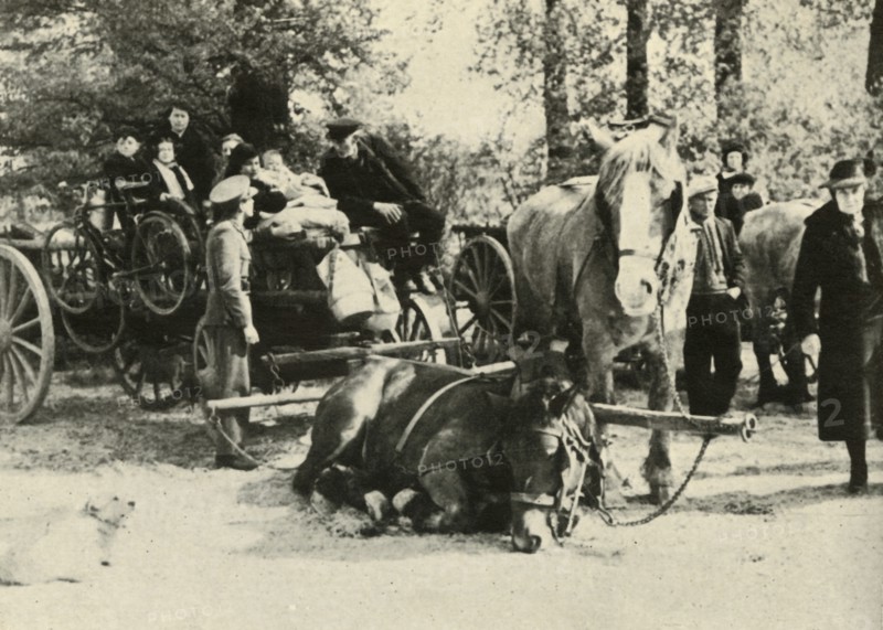 'Belgian Refugees on the Road', 1939-1940, (1941). Creator: Unknown.