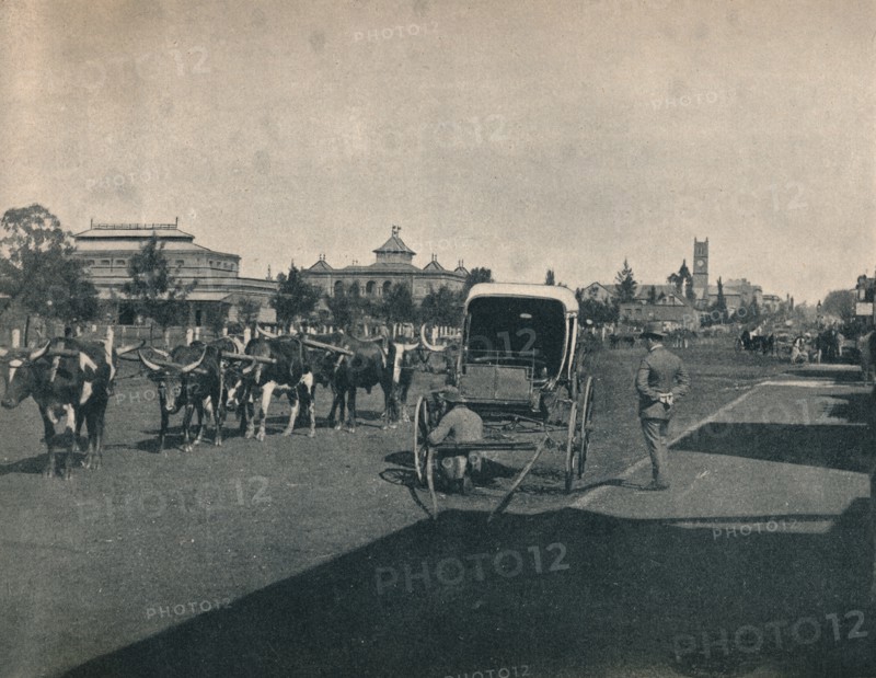 'Pietermaritzburg', c1900. Creator: Unknown.