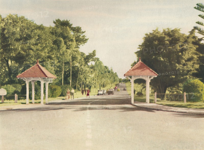 'Entrance to King's Park', c1947. Creator: Unknown.
