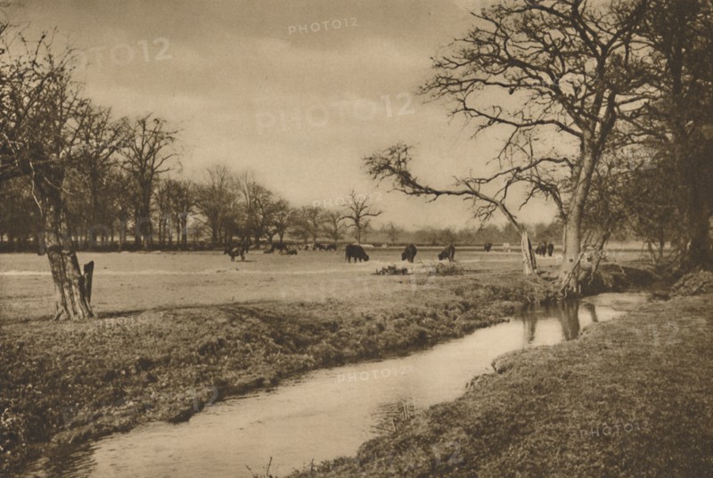 'Where Beverley Brook Winds Through The Royal Hunting Park of Richmond', c1935. Creator: Joel.