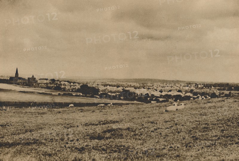 'Resting Sheep in the Pastures of North London: A View of Hampstead Garden Suburb', c1935. Creator: Langfier.