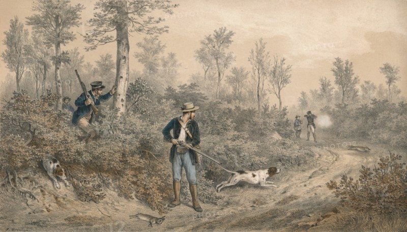 'Chasses a Tir, Battue en Forêt', mid 19th century. Creator: F Grenier.