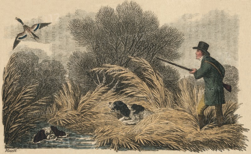 'Duck Shooting', 1810. Creator: Samuel Howitt.