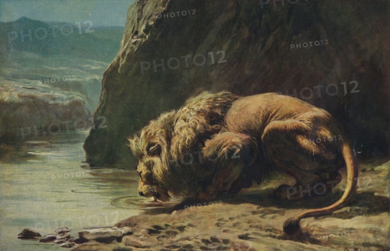 'The King Drinks', 1881, (1922). Creator: Briton Riviere.