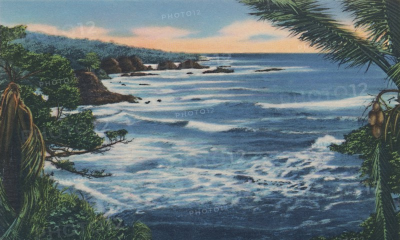 'North Coast, Trinidad, B.W.I.', c1940s. Creator: Unknown.