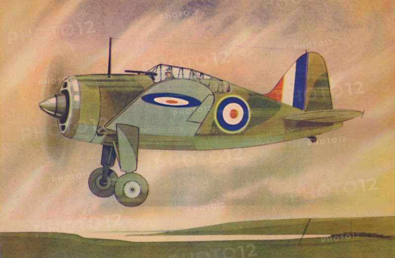 'Brewster "Buffalo" Fighter Monoplane', c1944. Creator: Unknown.