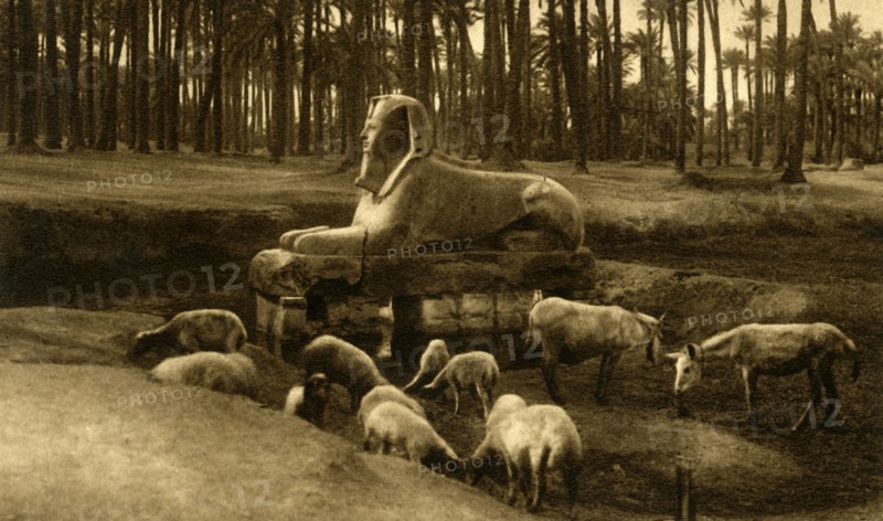 'Memphis - The Alabaster Sphinx', c1918-c1939. Creator: Unknown.