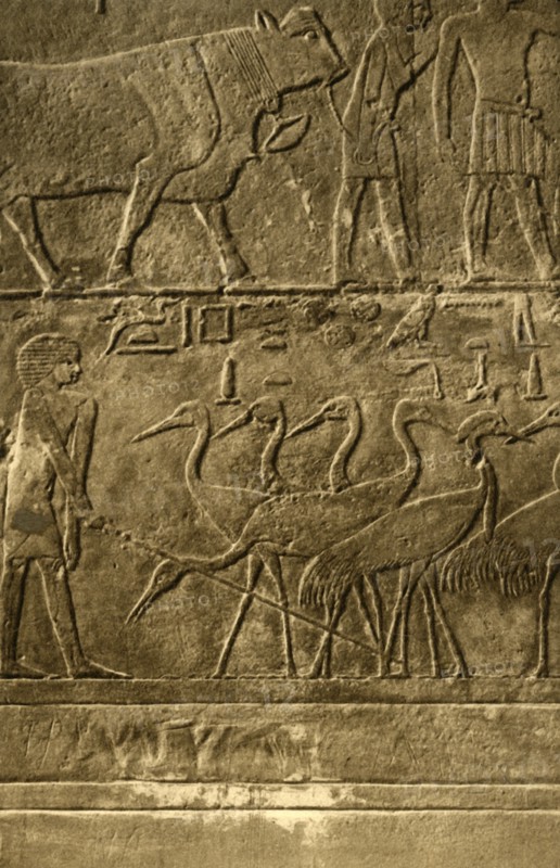 'Saqqara - Tomb of Ti Mural Paintings', c1918-c1939. Creator: Unknown.