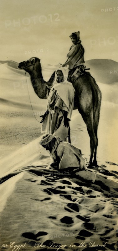 'Egypt - The Prayer in the Desert', c1918-c1939. Creator: Unknown.