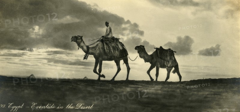 'Egypt - Eventide in the Desert', c1918-c1939. Creator: Unknown.