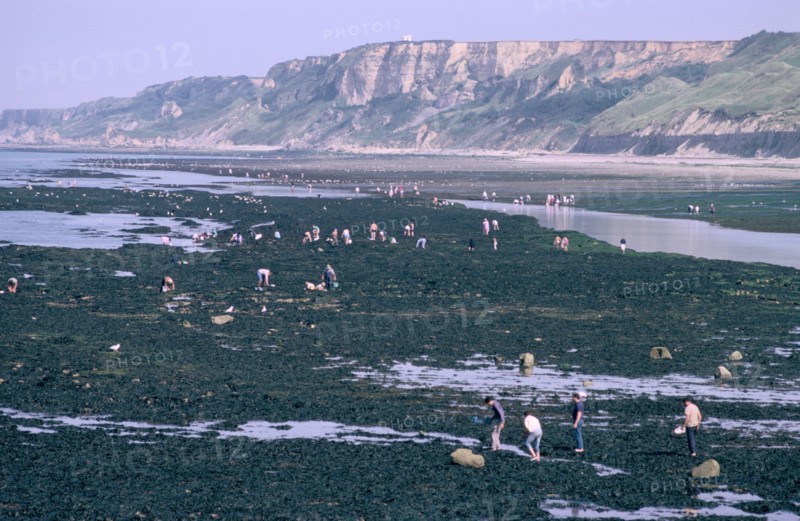 Beachcombers at Port-en-Bessin, Normandy, France.
