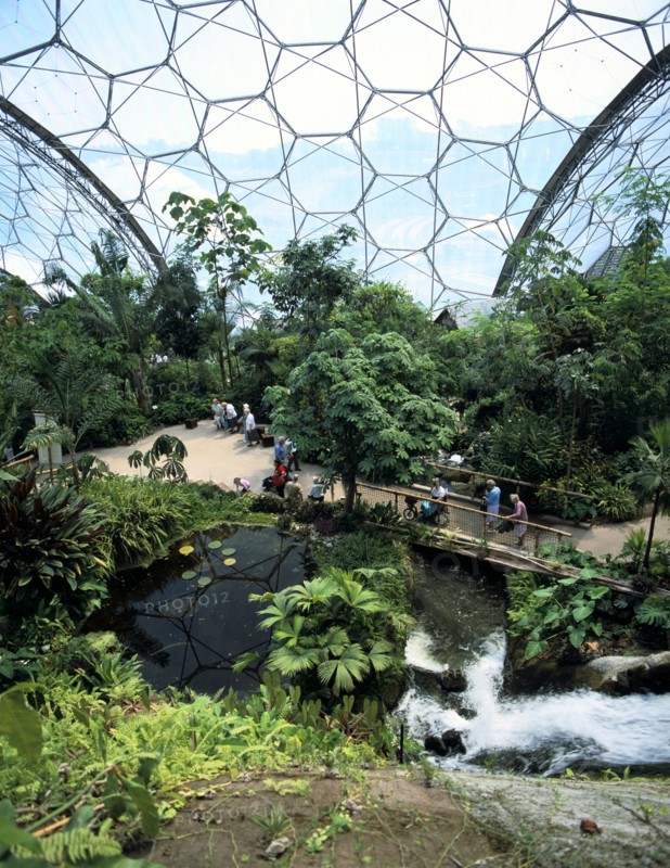 Inside the Humid Tropics Biome, Eden Project, Cornwall
