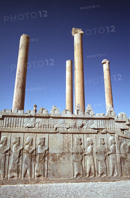 Relief of Medes and Persians, the Apadana, Persepolis, Iran