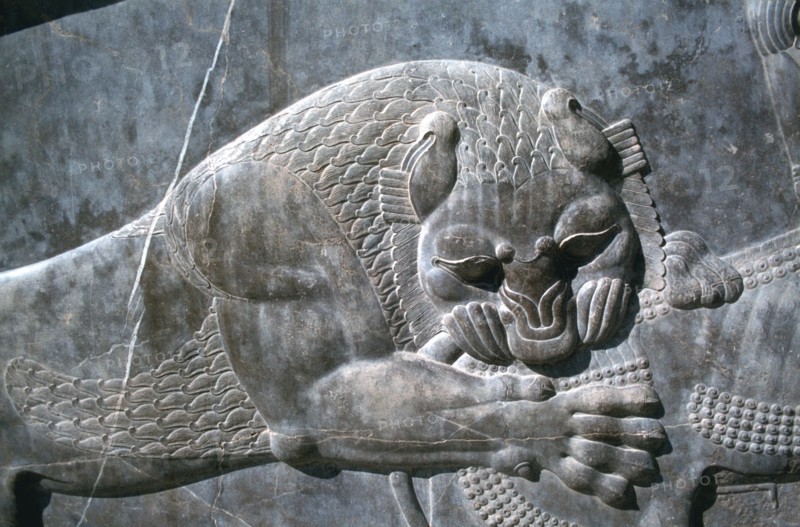 Detail from a relief of a lion attacking a bull, the Apadana, Persepolis, Iran