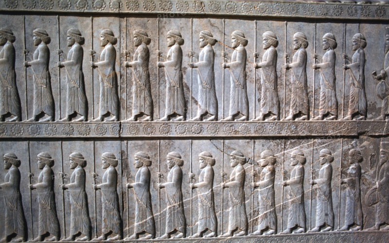 Relief of Immortals, the Apadana, Persepolis, Iran