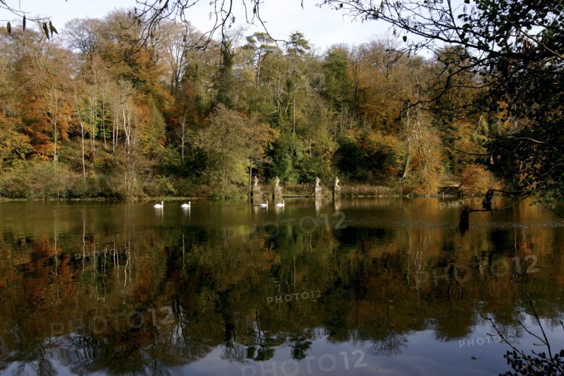 Fonthill Estate lake, Wiltshire, 2005