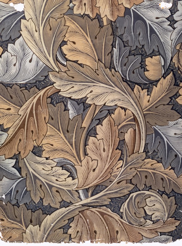 'Acanthus', wallpaper designed by William Morris, 1875. Artist: William Morris