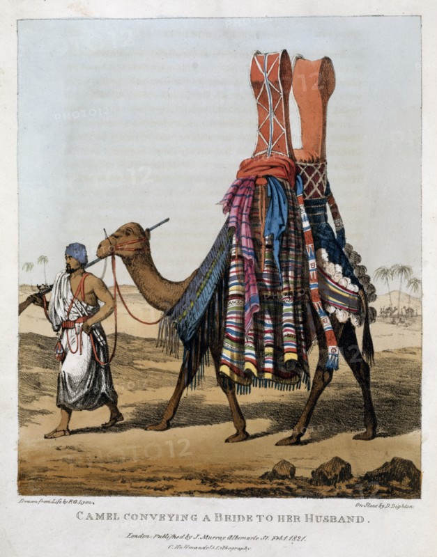 'Camel Conveying a Bride to her Husband', 1821. Artist: Denis Dighton