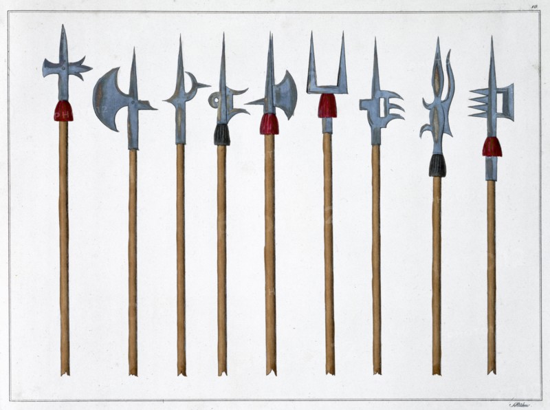 Lances, spears, halberds and partisanes, 1842. Artist: Friedrich Martin von Reibisch