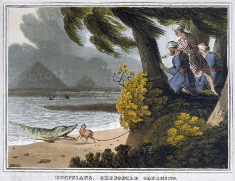 'Egyptians, Crocodile Catching', 1813. Artist: Matthew Dubourg