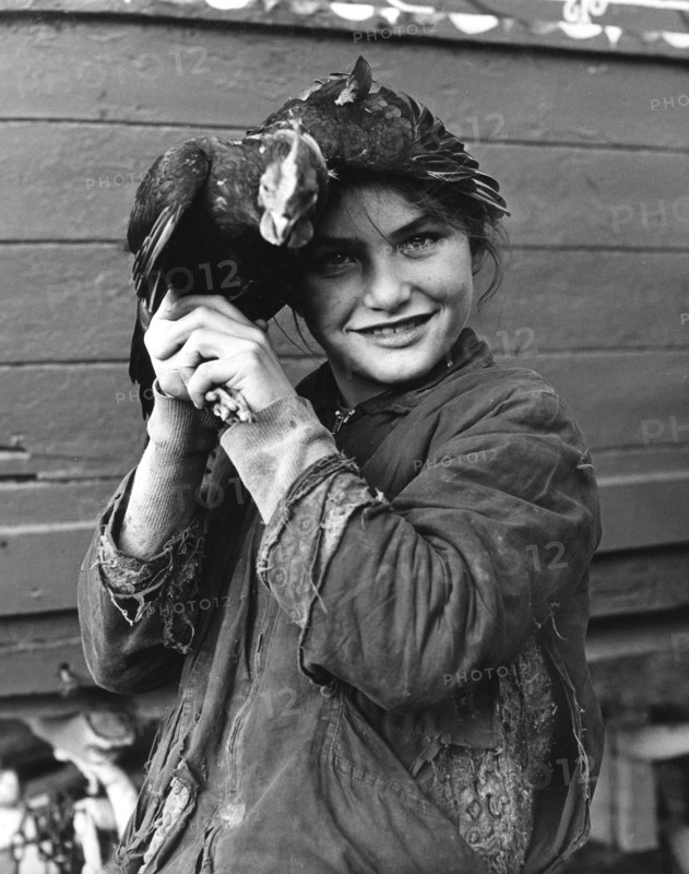 Gipsy girl holding a chicken, 1960s.