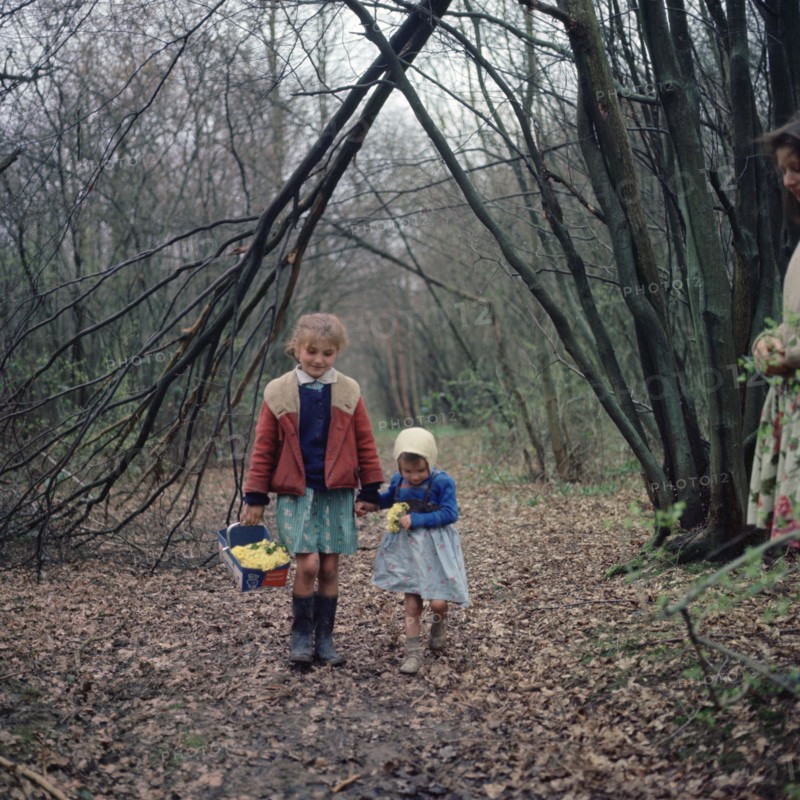 Two young gipsy girls, members of the Vincent family, Charlwood, Newdigate area, Surrey, 1964.