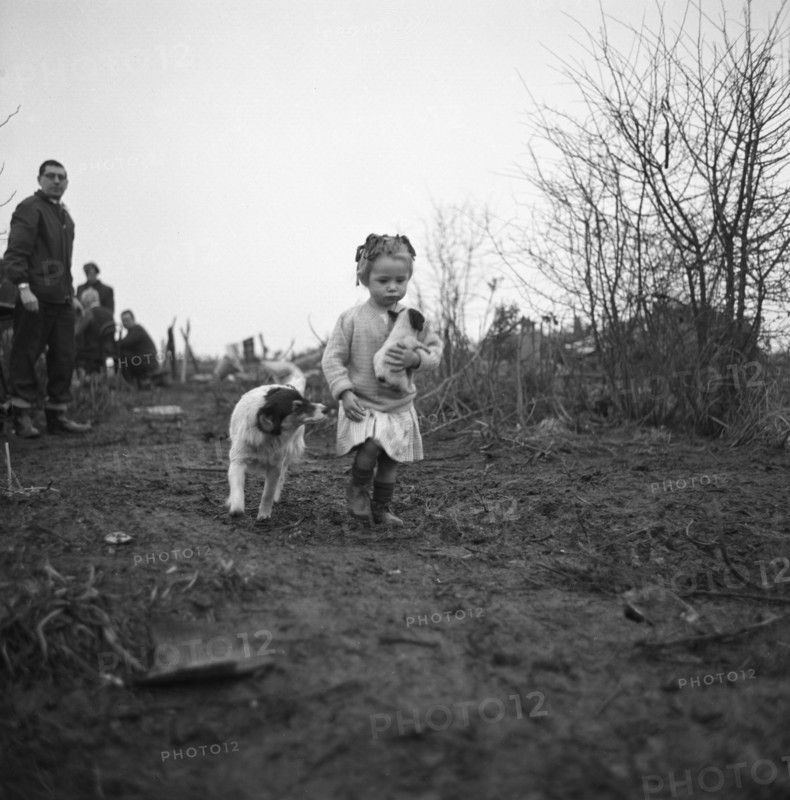 Gipsy child with a puppy, Lewes, Sussex, 1963.
