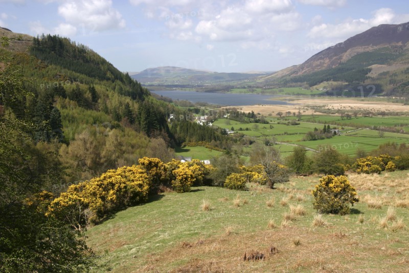 Bassenthwaite Lake from Whinlatter Pass, Lake District, Cumbria.