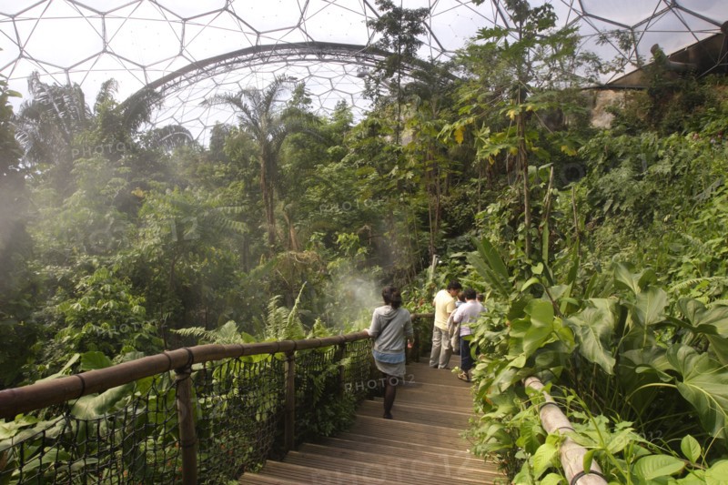 Inside the Humid Tropics Biome, Eden Project, near St Austell, Cornwall.