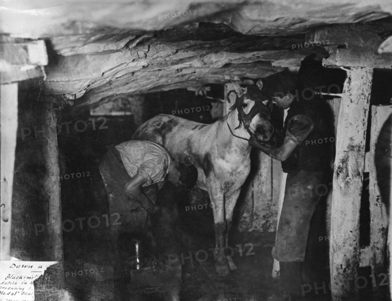 A blacksmith and his striker attending a pit pony, Clay Cross Colliery, Derbyshire, c1910. Artist: Albert Heath