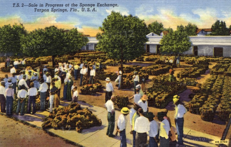 Sale in progress at the sponge exchange, Tarpon Springs, Florida, USA, 1940. Artist: Unknown