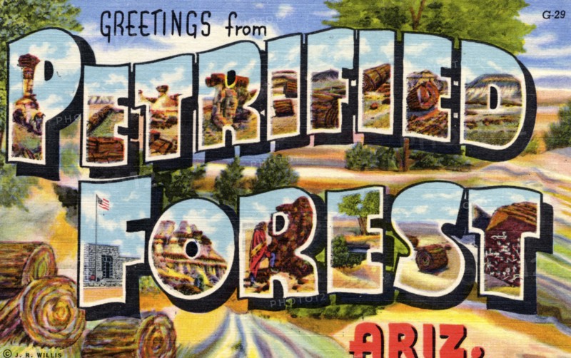 'Greetings from Petrified Forest, Arizona', postcard, 1941. Artist: Unknown