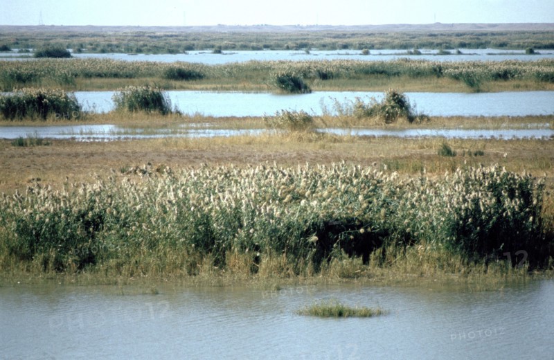 River Tigris from the doorway of the ruined Caliph's Palace, Samarra, Iraq, 1977.