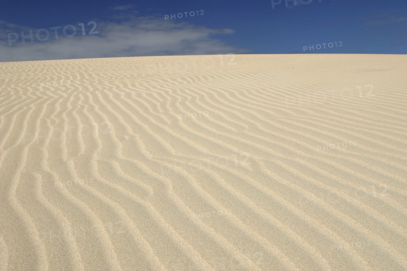 Sand Dunes, Corralejo, Fuerteventura, Canary Islands.