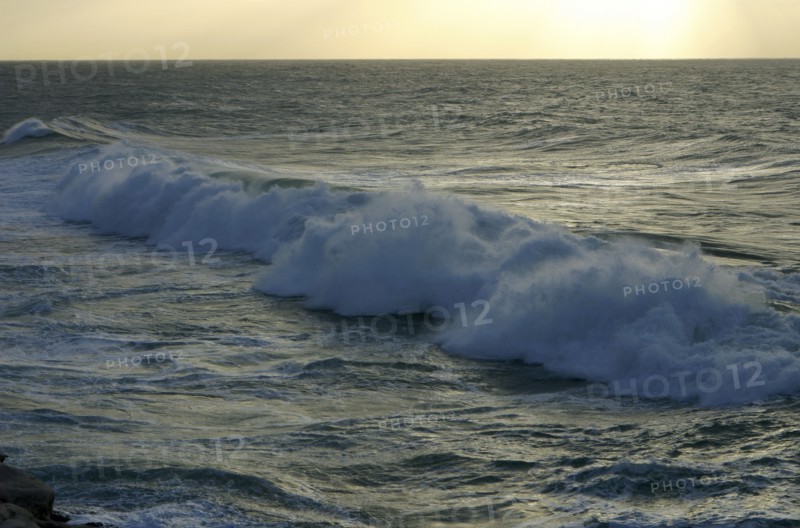 Seascape, Fuerteventura, Canary Islands.