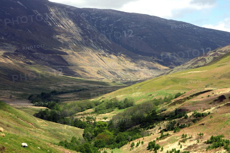 Glen Roy, Highland, Scotland.