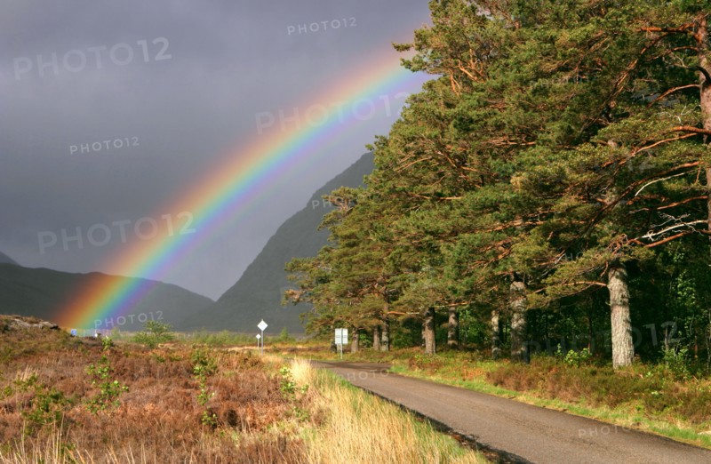 Rainbow over the road from Ullapool to Torridon, Highland, Scotland.