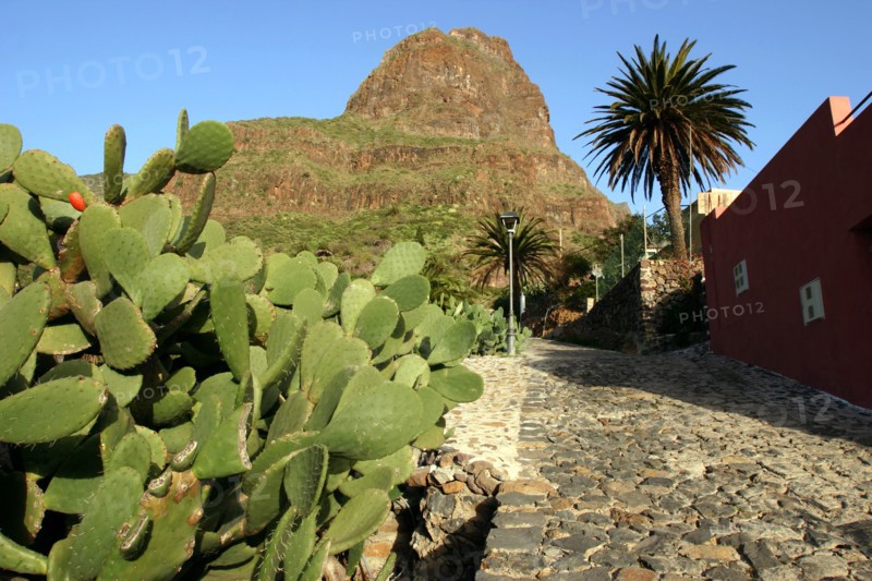 Cactus and street in Masca, Tenerife, Canary Islands, 2007.