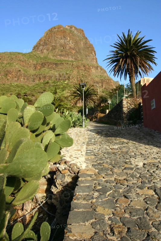 Cactus and street in Masca, Tenerife, Canary Islands, 2007.