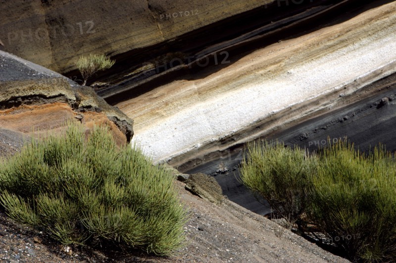 Vegetation and rock formations, Parque Nacional del Teide, Tenerife, Canary Islands, 2007.