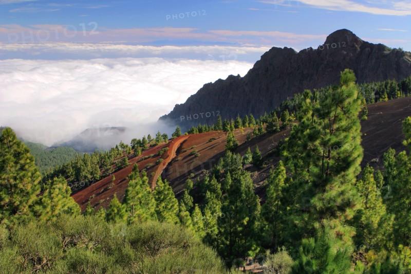View from Mirador de la Cumbre, Parque Nacional del Teide, Tenerife, Canary Islands, 2007.