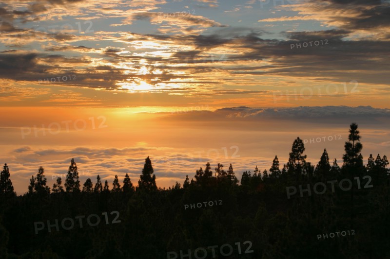Parque Nacional del Teide, Tenerife, Canary Islands, 2007.