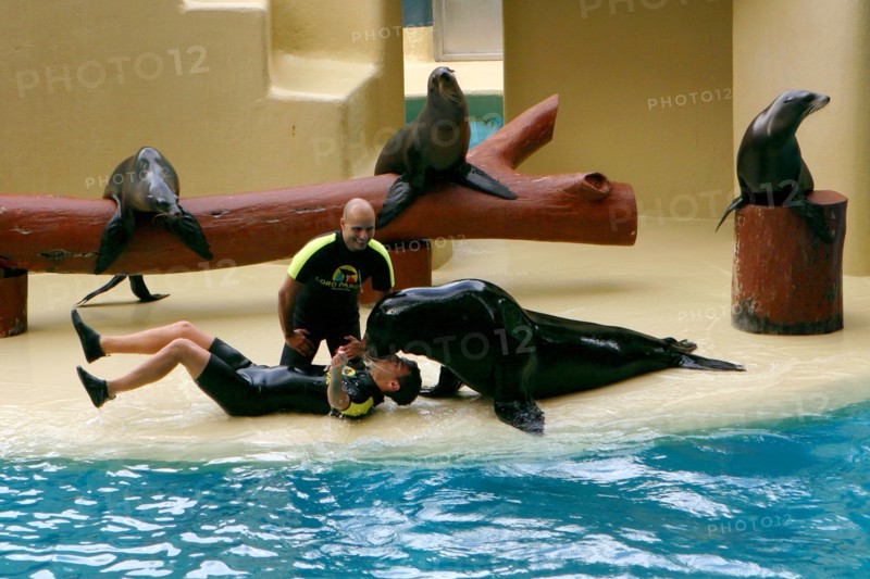 Sea lion show, Loro Parque, Tenerife, Canary Islands, 2007.
