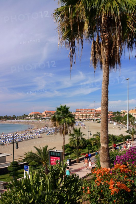 Playa de las Vistas, Los Cristianos, Tenerife, Canary Islands, 2007.