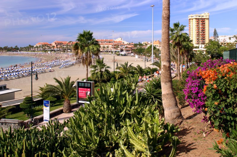 Playa de las Vistas, Los Cristianos, Tenerife, Canary Islands, 2007.